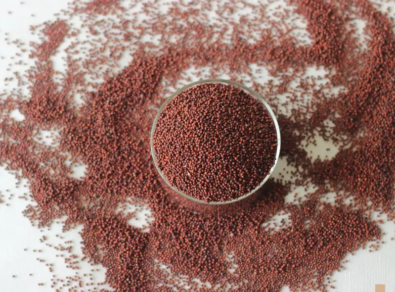 Finger Millet