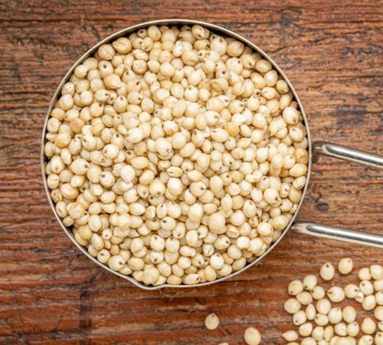 Jowar Sorghum