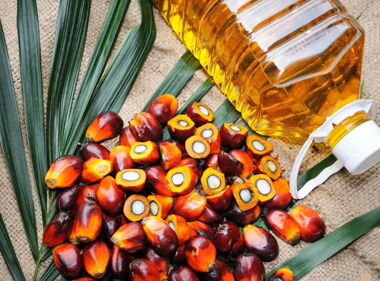 Palm Oil