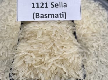 Rice