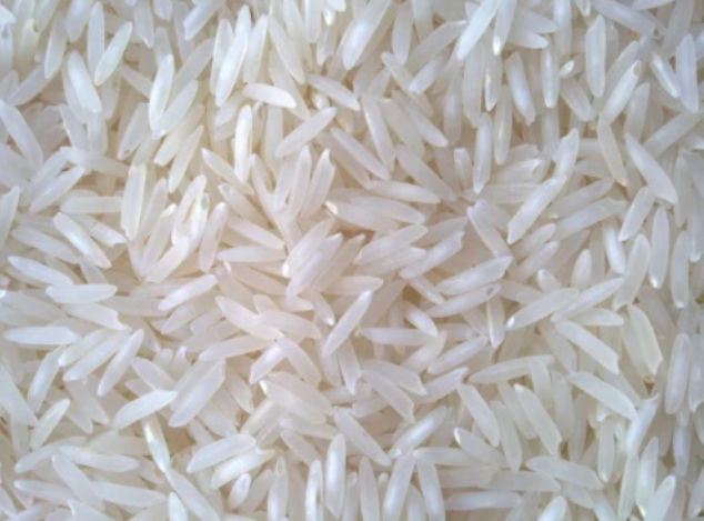 Rice